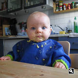 7. Nov '09: Russelschweinchen