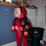 22. Feb '11: Ich bin ein Kafer